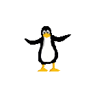 bird-animation-penguin.gif